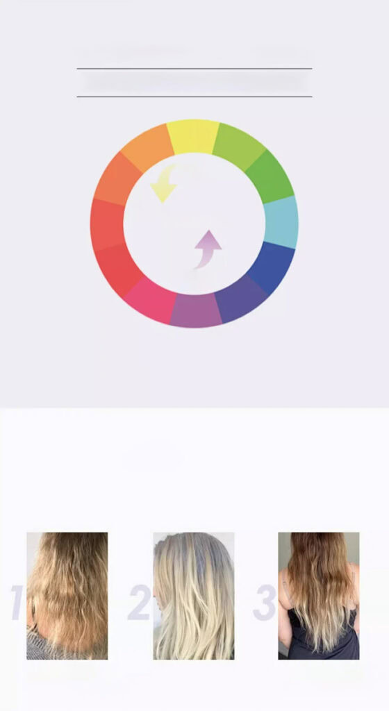 Semi Permanent Hair Color Cream 4