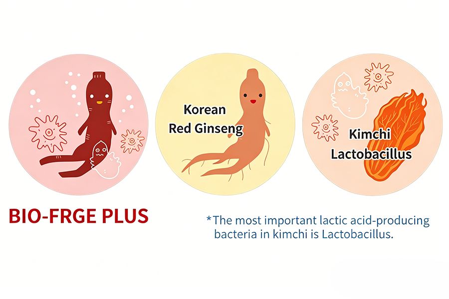 Traditional Red Ginseng Meets Fermentation 2
