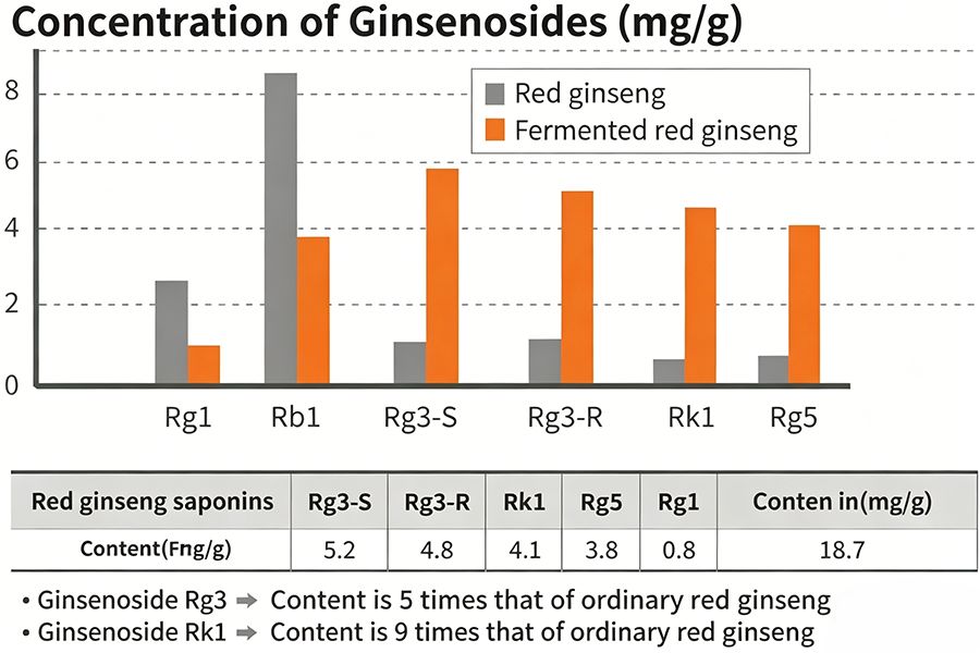 Traditional Red Ginseng Meets Fermentation 3