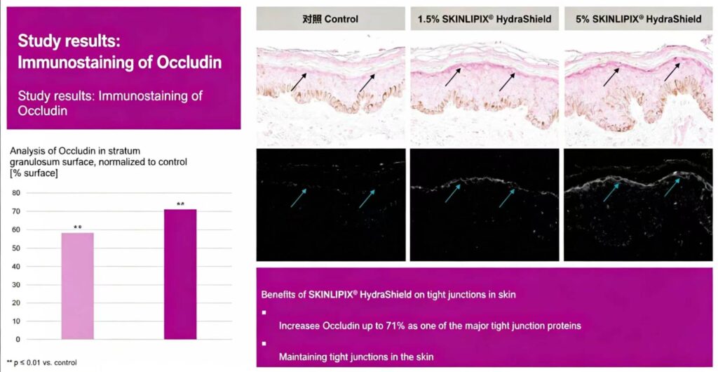 Evoniks Water Soluble Ceramide Skinlipix® Hydrashield 2