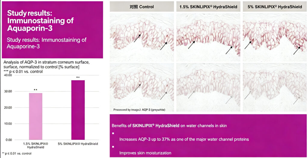 Evoniks Water Soluble Ceramide Skinlipix® Hydrashield 3