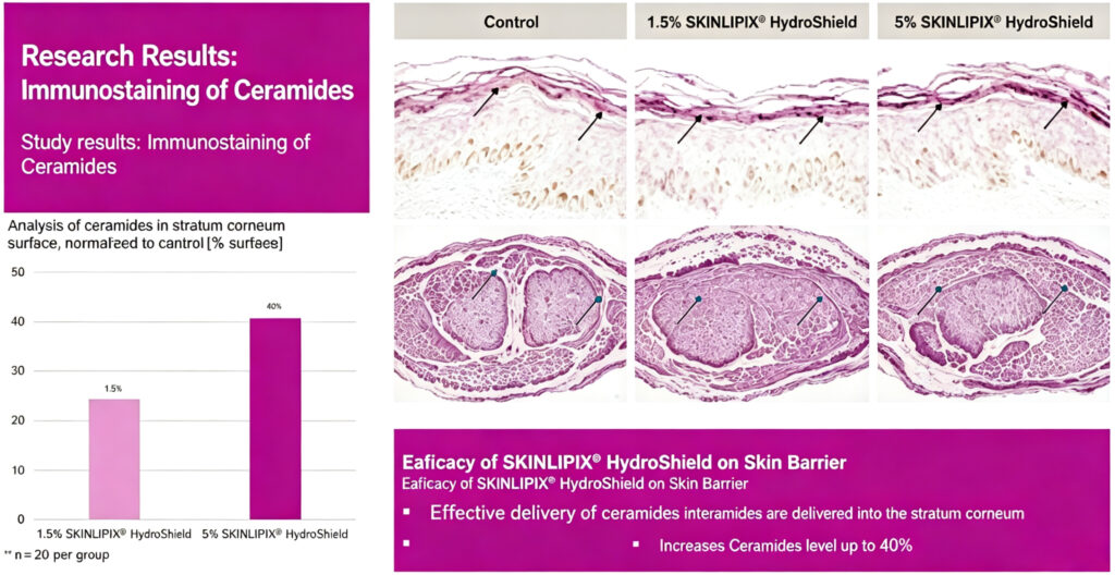 Evoniks Water Soluble Ceramide Skinlipix® Hydrashield 4