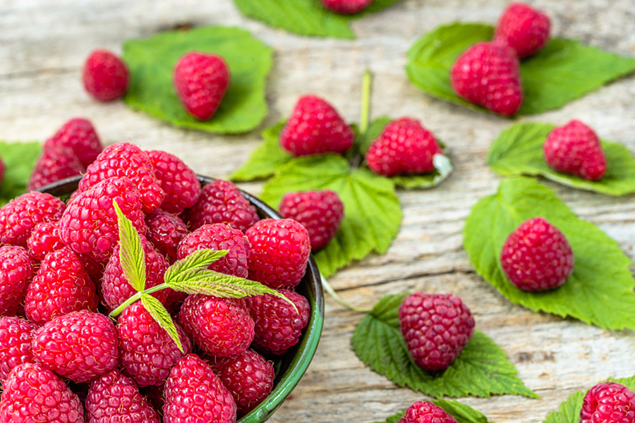 Beyond The Berry 1