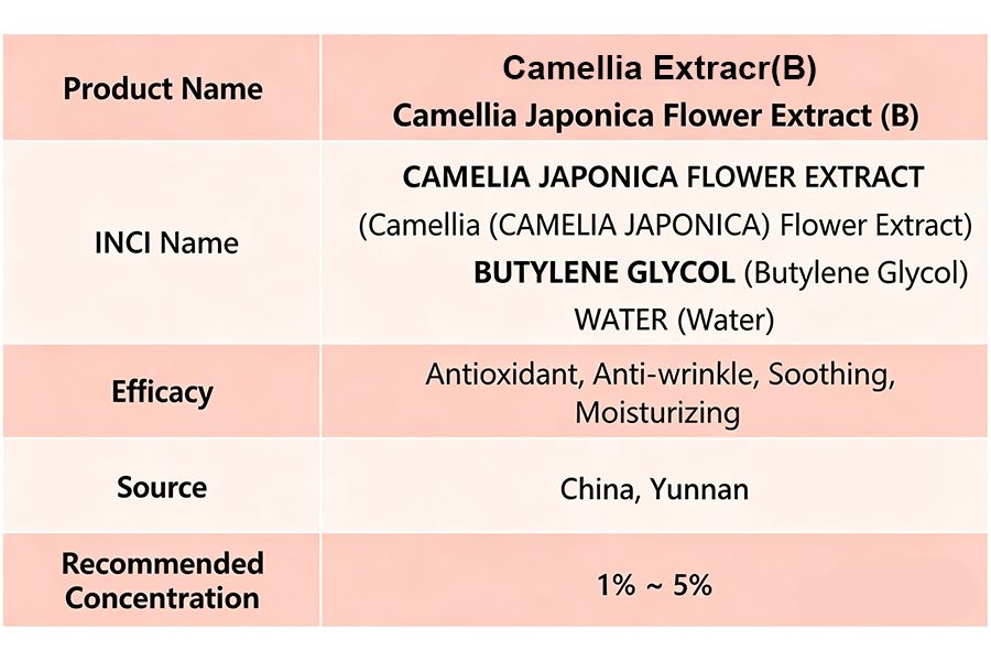 Camellia Japonica 2