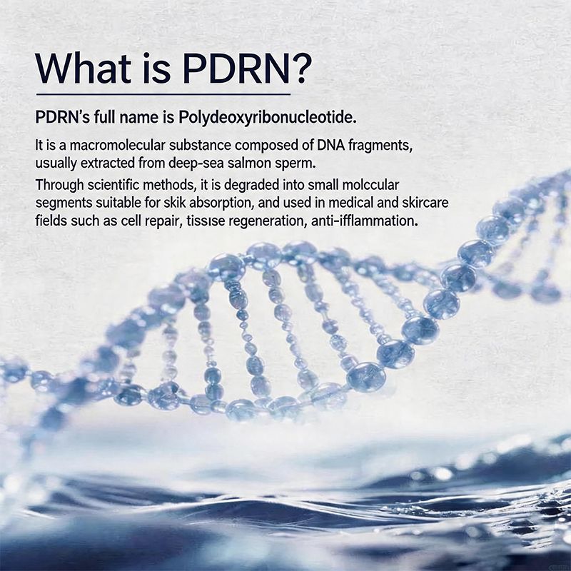 Pdrn The Next Huge Trend In The Beauty Industry Bg